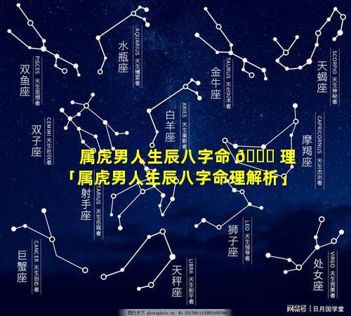 属虎男人生辰八字命 🐘 理「属虎男人生辰八字命理解析」